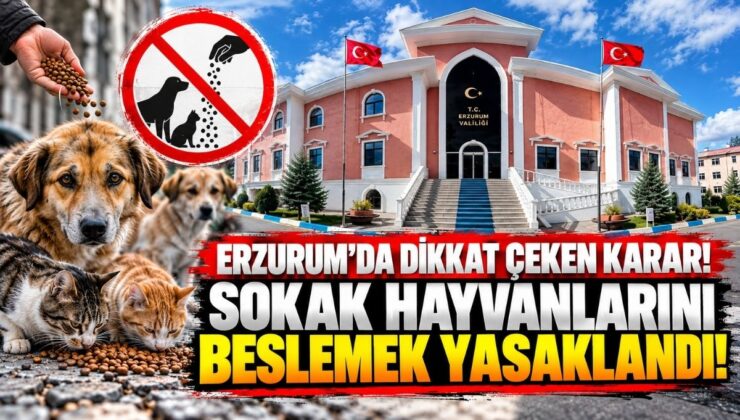 Erzurum’da Dikkat Çeken Karar! Sokak Hayvanlarını Beslemek Yasaklandı!