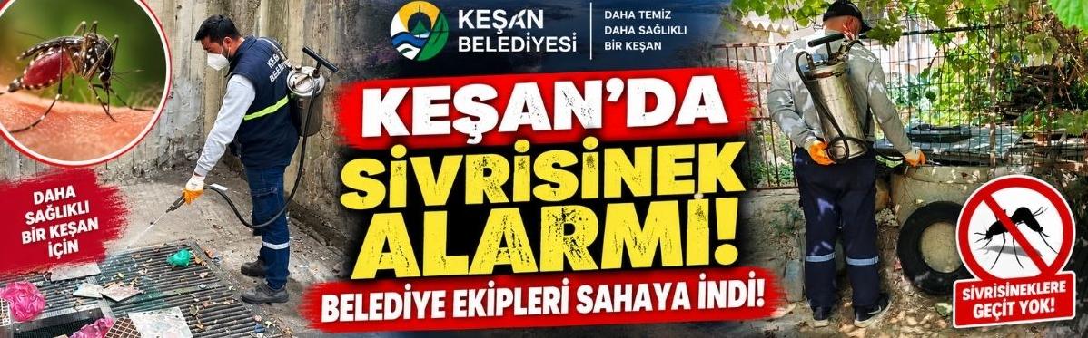 Keşan’da Sivrisinek Alarmı! Belediye Ekipleri Sahaya İndi!