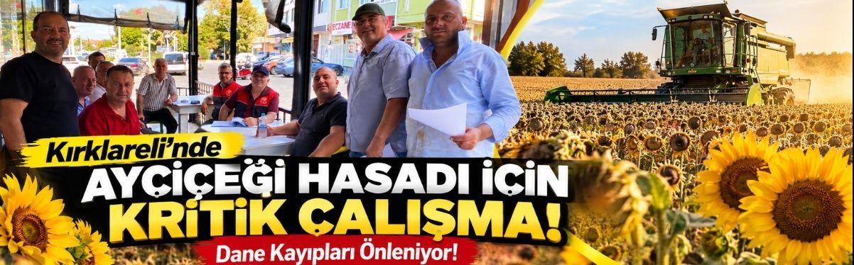 Kırklareli’nde Ayçiçeği Hasadı İçin Kritik Çalışma! Dane Kayıpları Önleniyor!