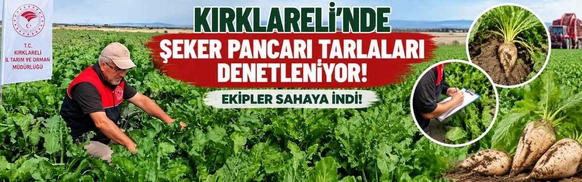 Kırklareli’nde Şeker Pancarı Tarlaları Denetleniyor! Ekipler Sahaya İndi!