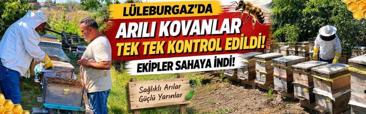 Lüleburgaz’da Arılı Kovanlar Tek Tek Kontrol Edildi! Ekipler Sahaya İndi!