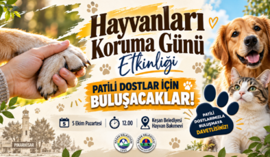 Hayvanları Koruma Günü Etkinliği Düzenlenecek! Patili Dostlar İçin Buluşacaklar!