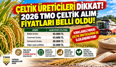 Çeltik Üreticileri Dikkat! 2026 TMO Çeltik Alım Fiyatları Belli Oldu!