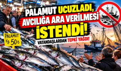 Palamut Ucuzladı, Avcılığa Ara Verilmesi İstendi! Vatandaşlardan Tepki Yağdı!