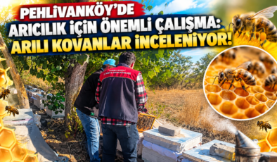 Pehlivanköy’de Arıcılık İçin Önemli Çalışma: Arılı Kovanlar İnceleniyor!